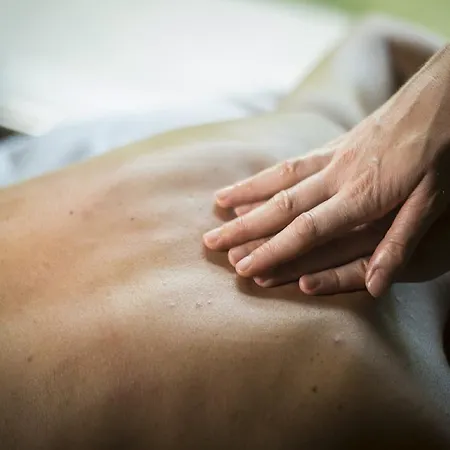 بيت ضيافة Wellness 4*