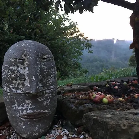 Πανσιόν Wellness 4*