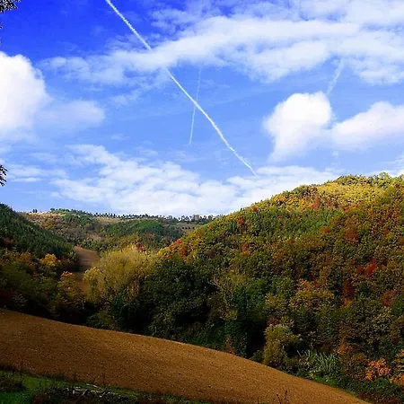 Πανσιόν Wellness Brisighella