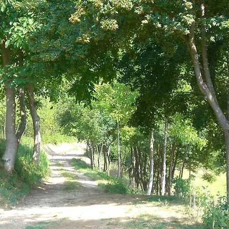 Wellness Brisighella