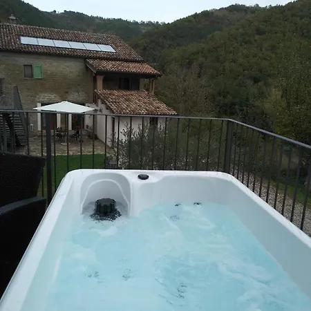 Wellness 4*