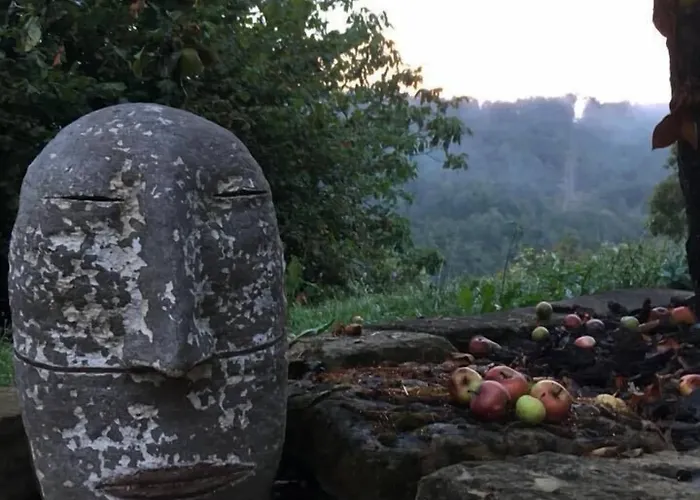 בית הארחה Wellness 4*