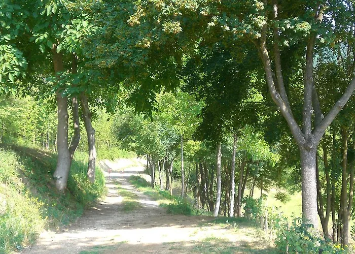 Wellness Brisighella